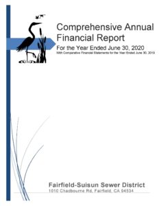 2020 Annual Report Cover Page