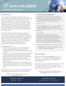 IT Manager Recruitment Flyer